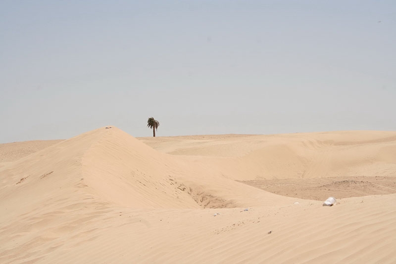 Sahara w okolicach Douz, Tunezja
