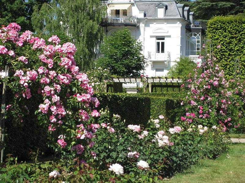 Ogród Różany w Baden-Baden, Niemcy