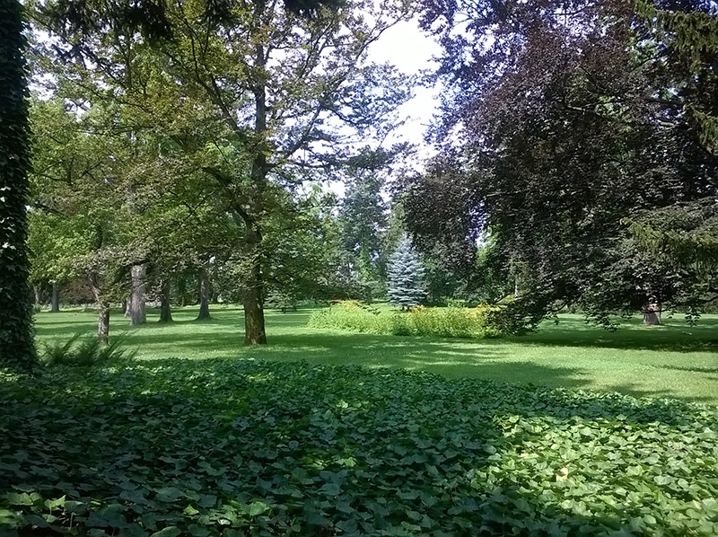 Park w Żelazowej Woli