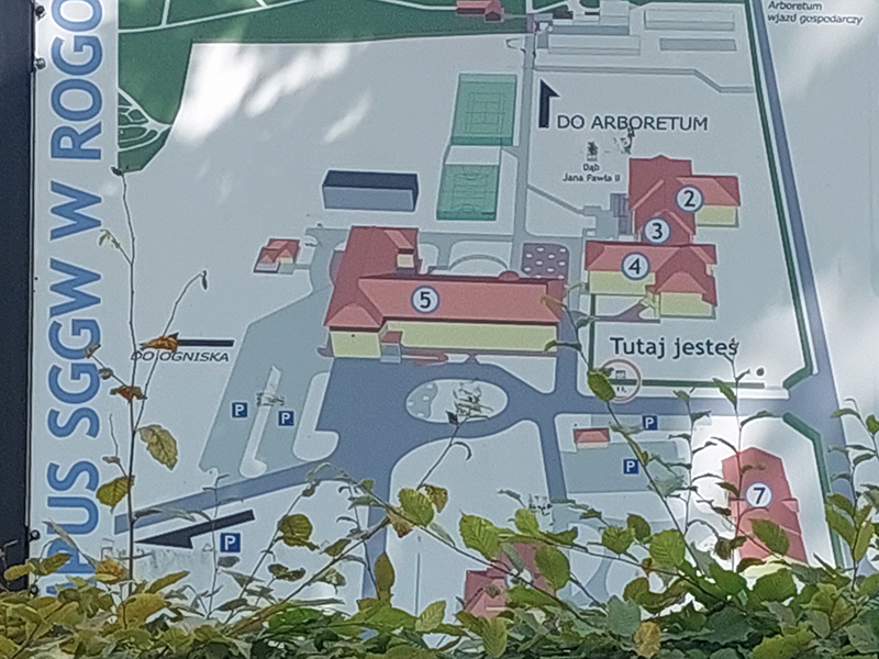Plan arboretum w Rogowie